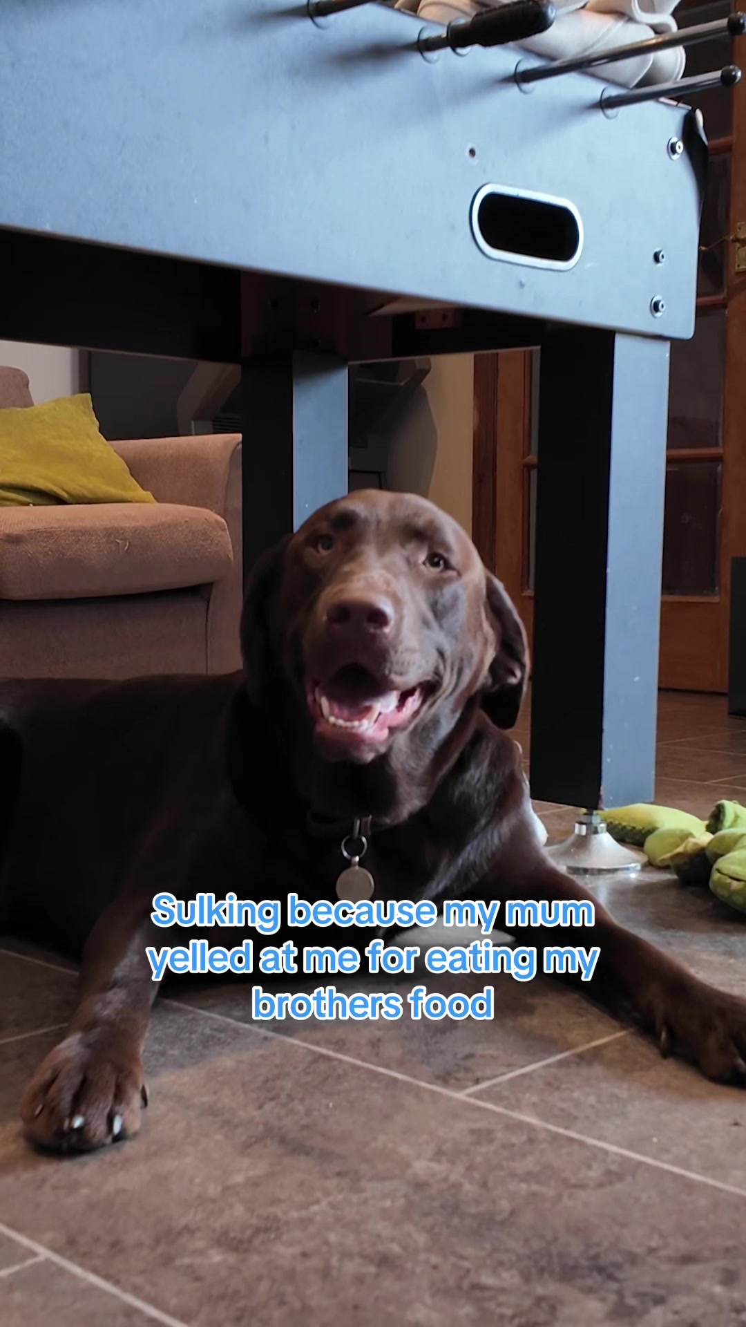 @Barking Heads Dog Food