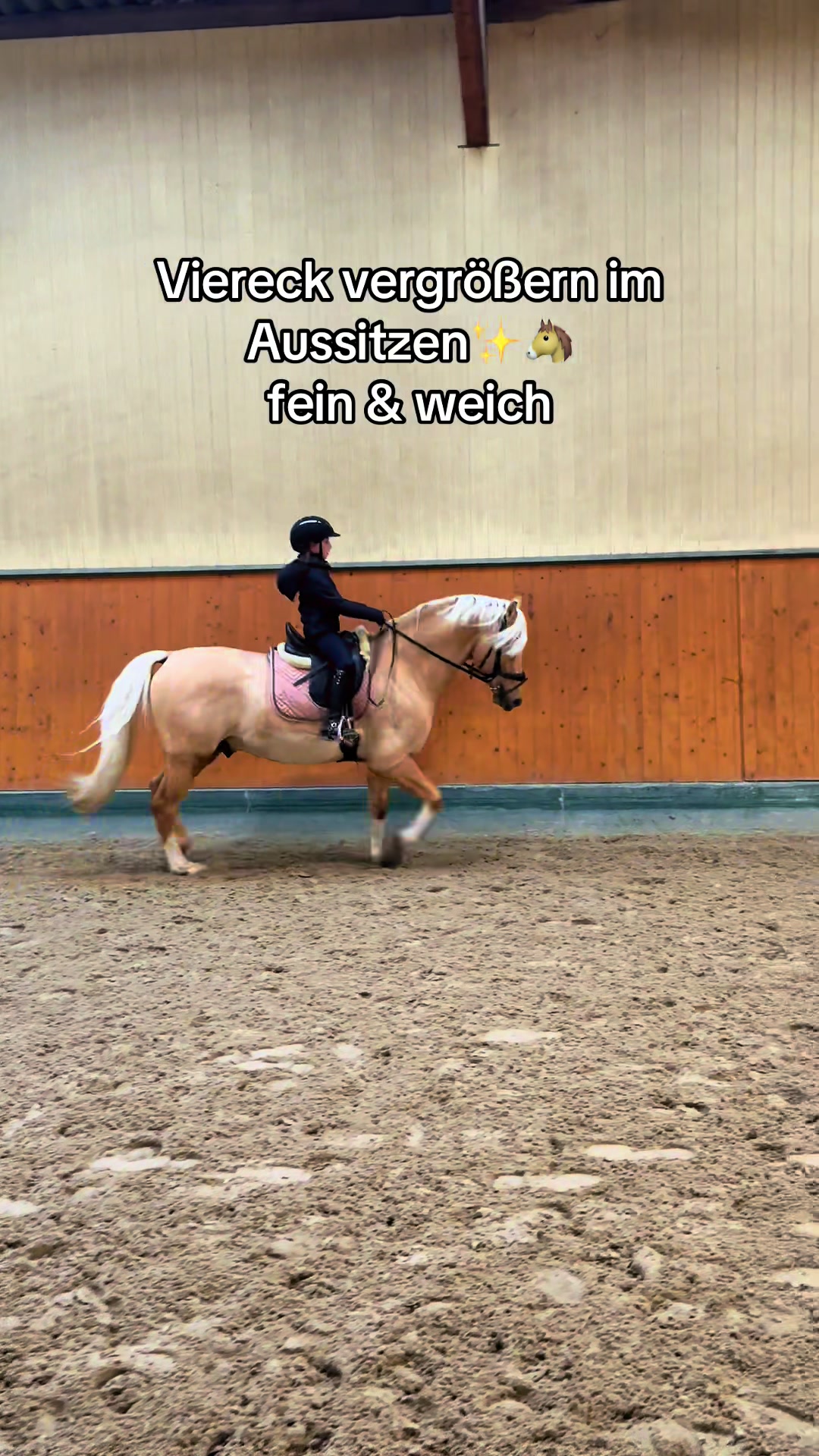 @Shanea & ihre Ponys &hearts;️🐴