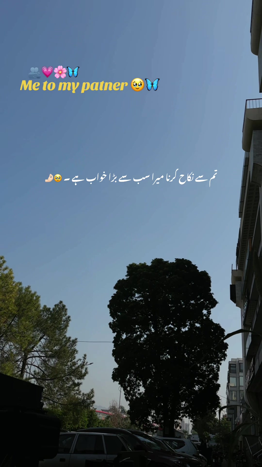 @𝘼𝙨𝙝𝙠-𝙚-𝘿𝙞𝙡 ❤️🩹🥀