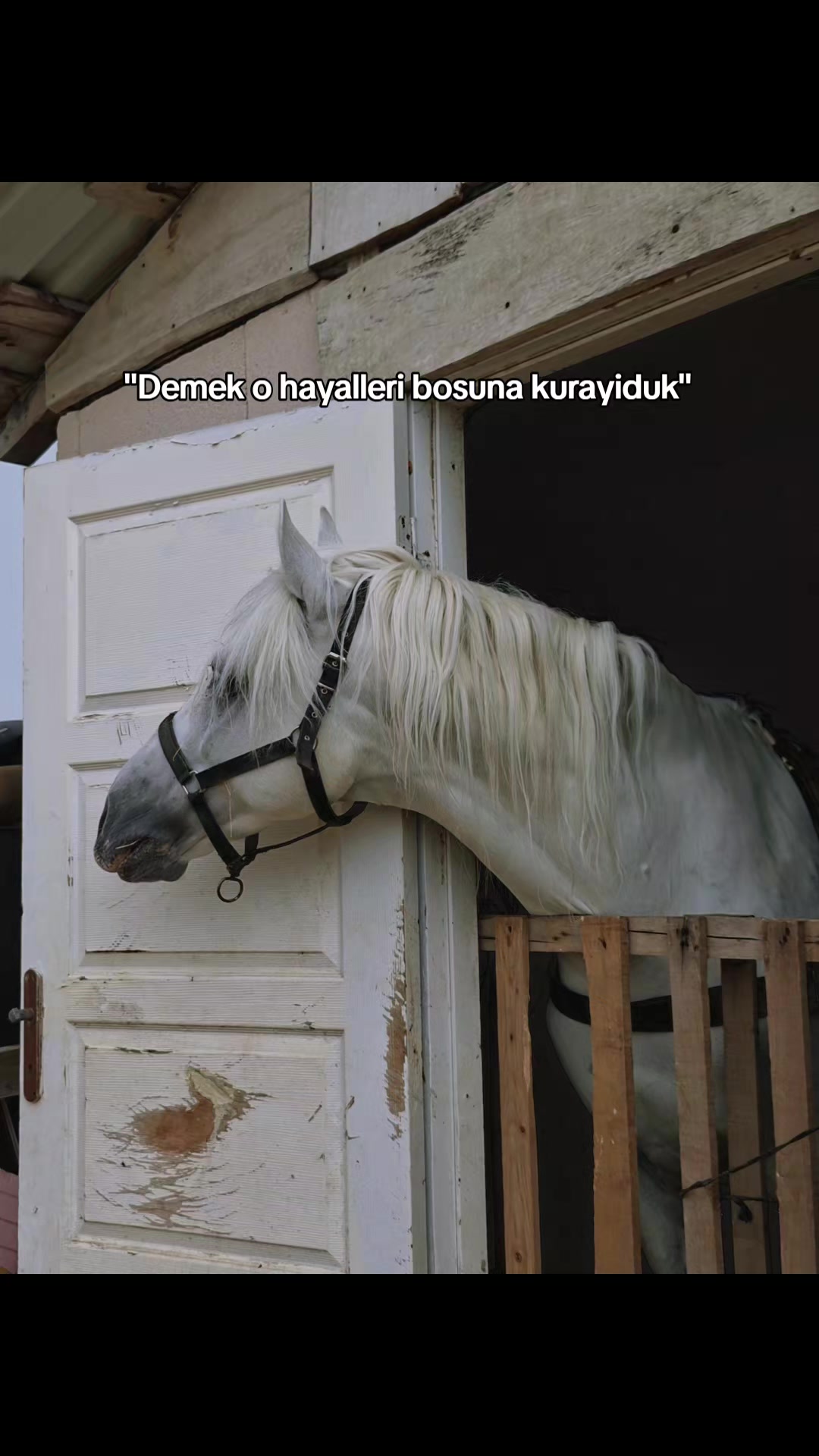 @Yusuf Ünal