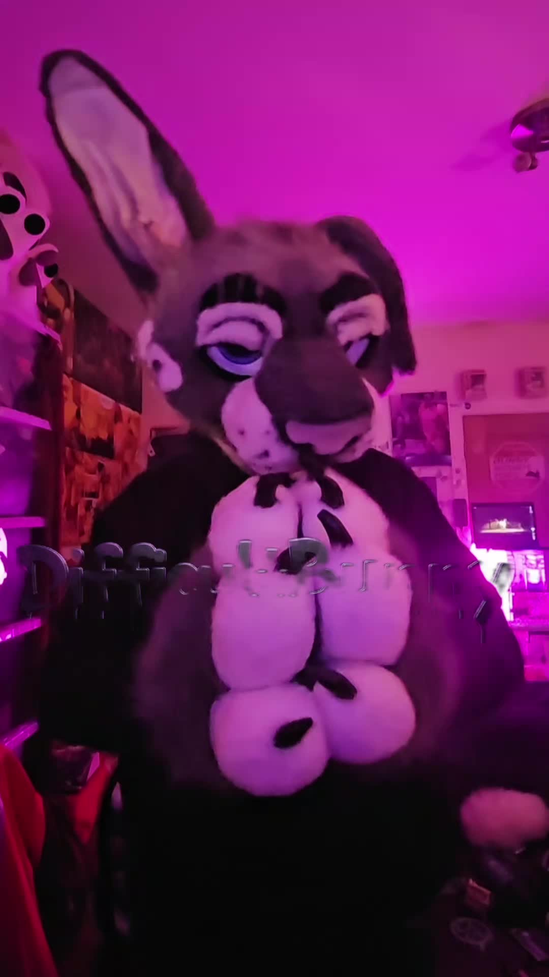 @Difficult Bunny!