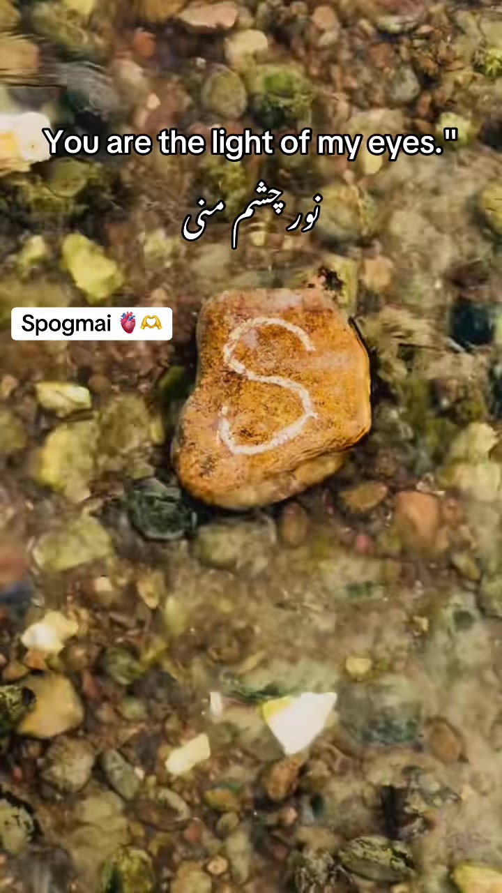 @🇬🇧HäśšäŅ khañ🇦🇫