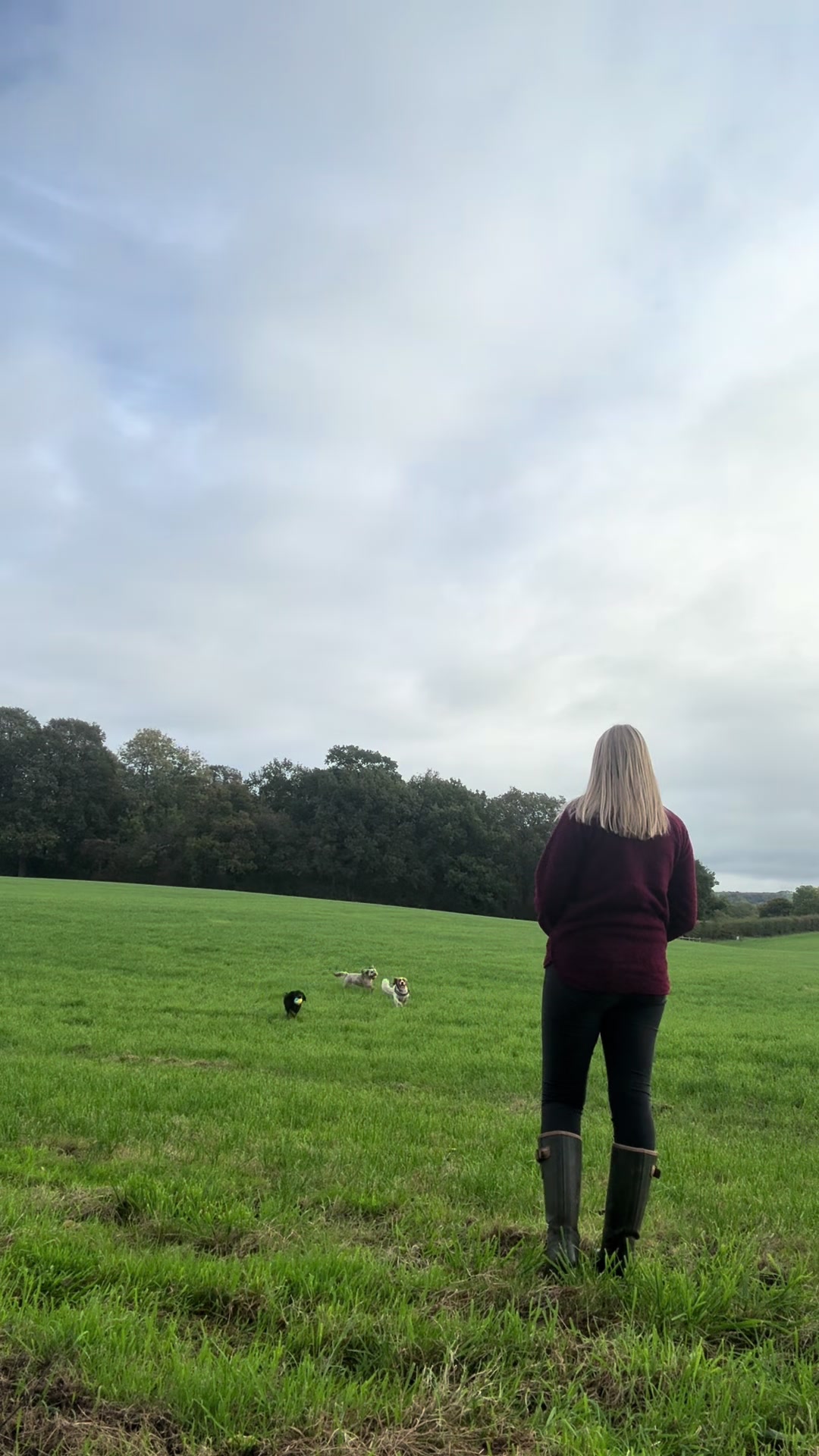 @Emma&rsquo;s Dog Walking