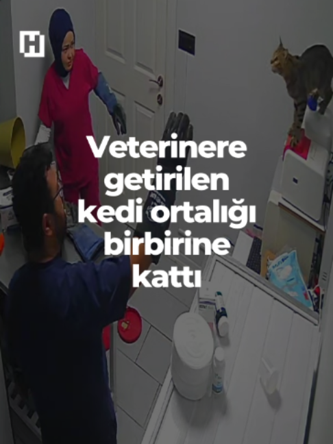 @Hürriyet