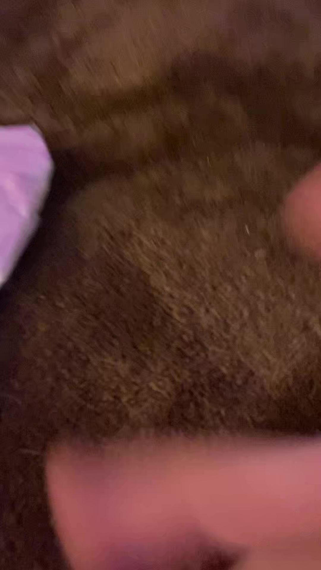 @✨❤️ L❤️✨
