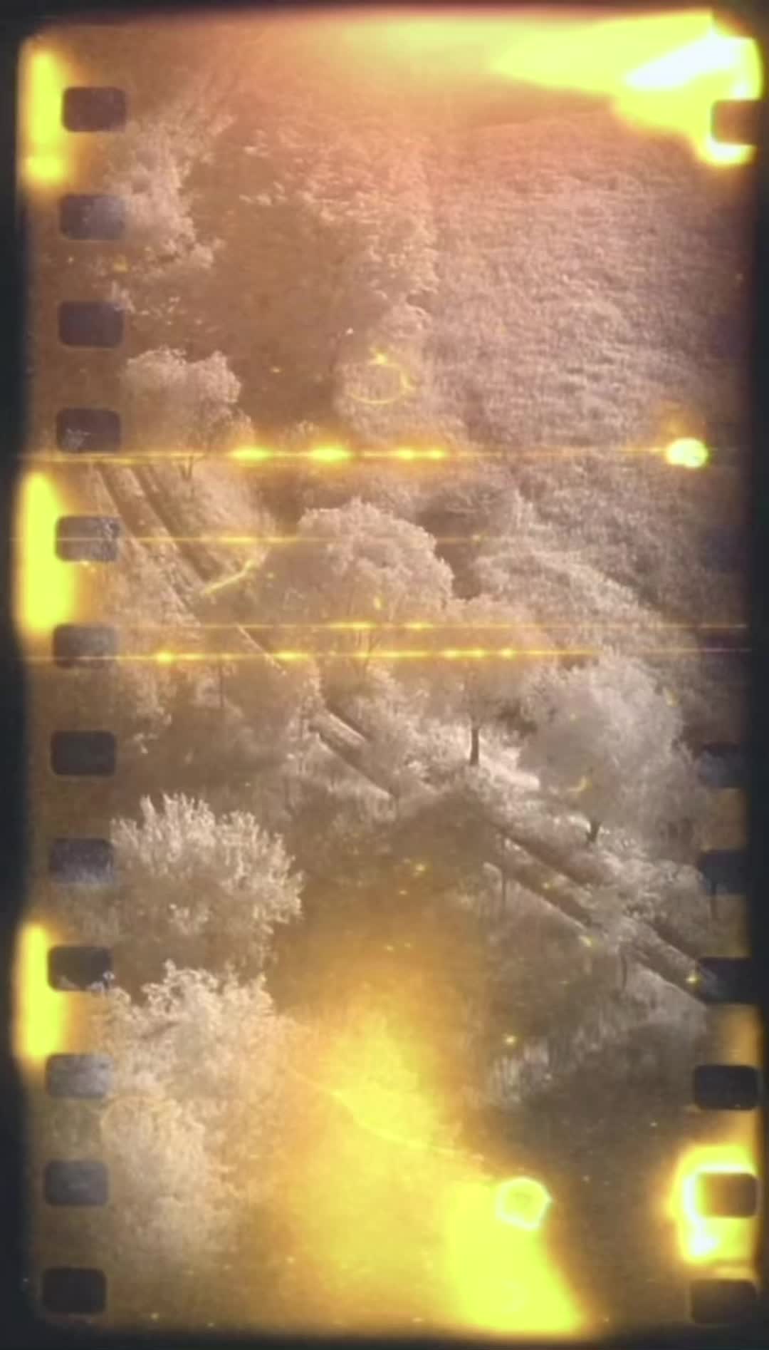 @𝔻𝕒𝕣𝕣𝕖𝕟𝔹𝕠𝕨𝕖𝕟