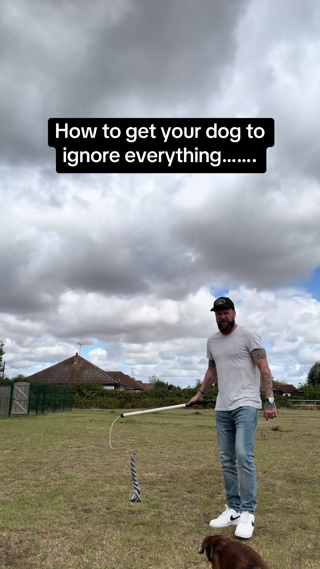 @SouthendDogTraining