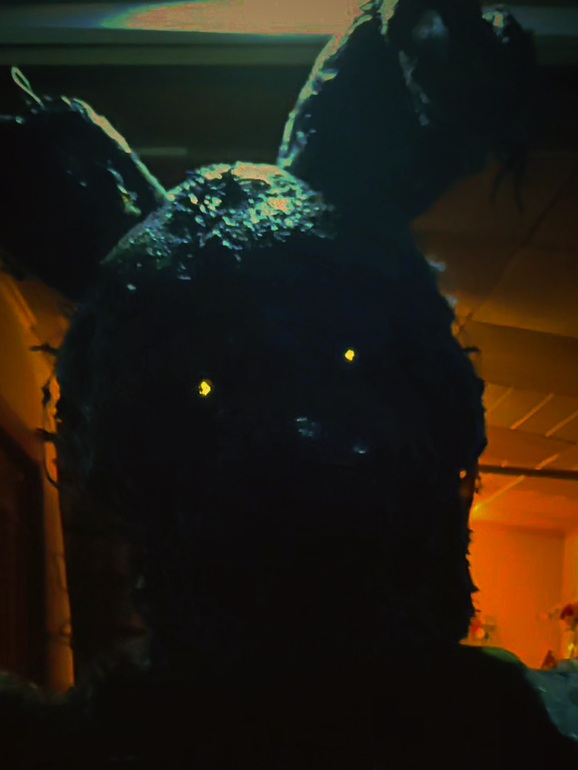 @🪓🧟&zwj;♀️🐇𝔄𝔨𝔲𝔪𝔞🐇🧟&zwj;♀️🪓