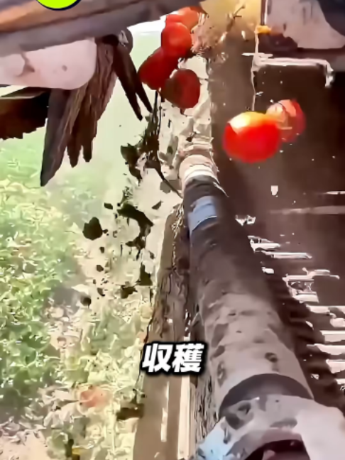 @user8297523422119