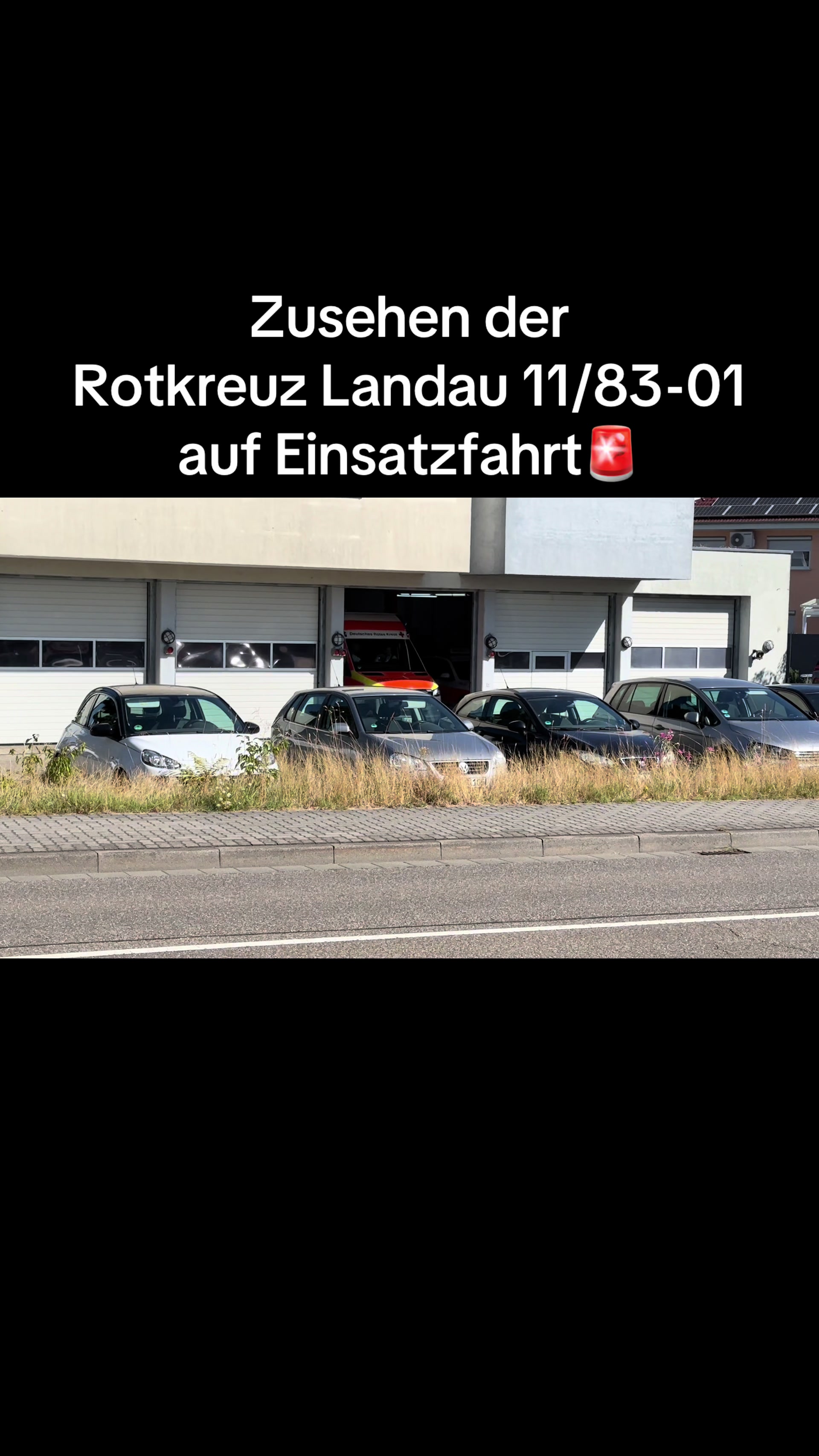 @bluelight_rlp