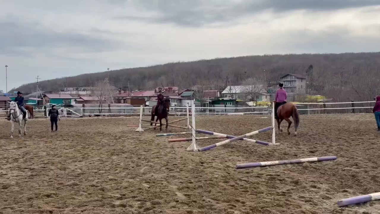 @🐴🤎