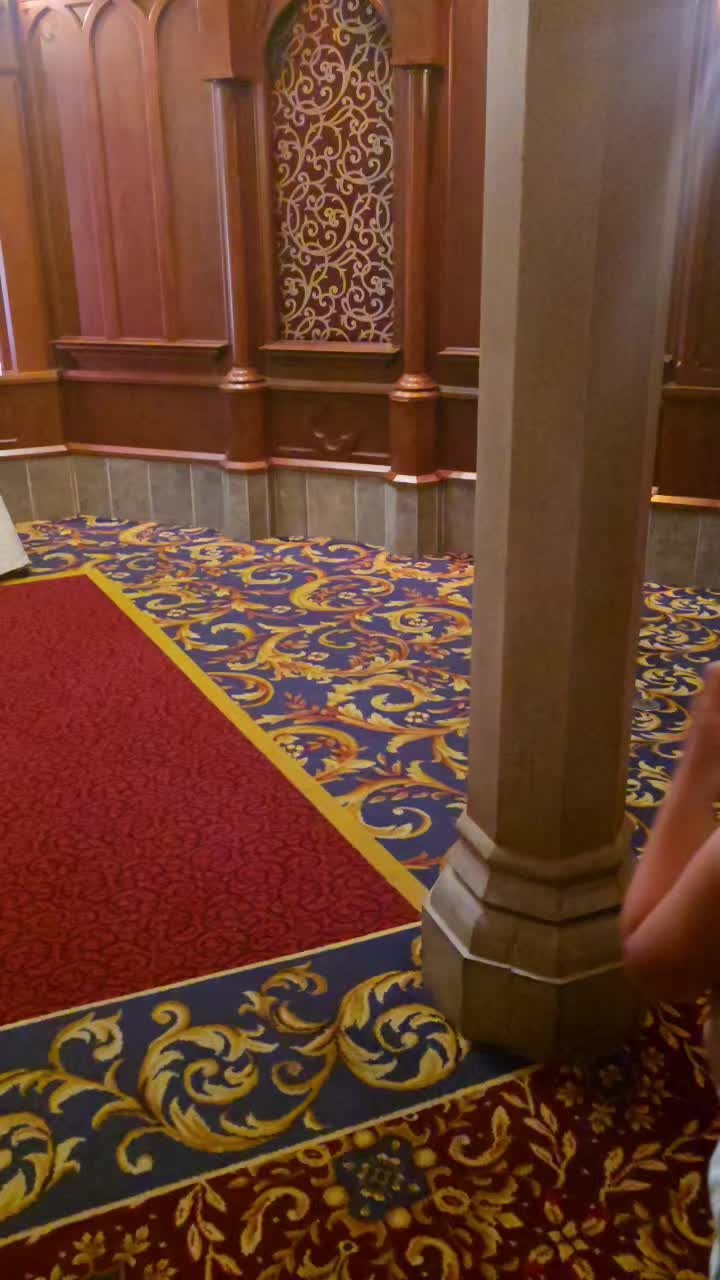 @mdlc✨️✨️