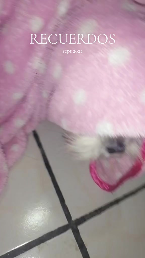 @🎀GαႦιɾυ🎀