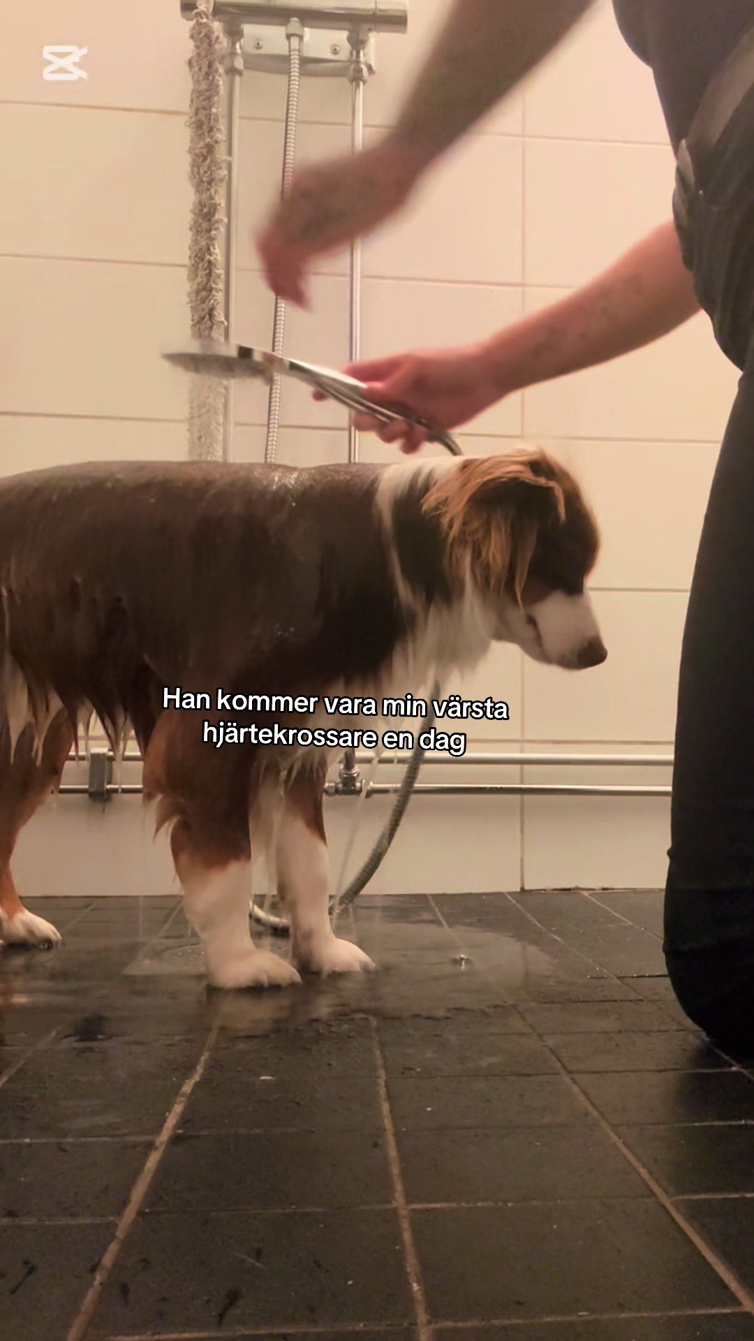 @Elin Anna Göthlin