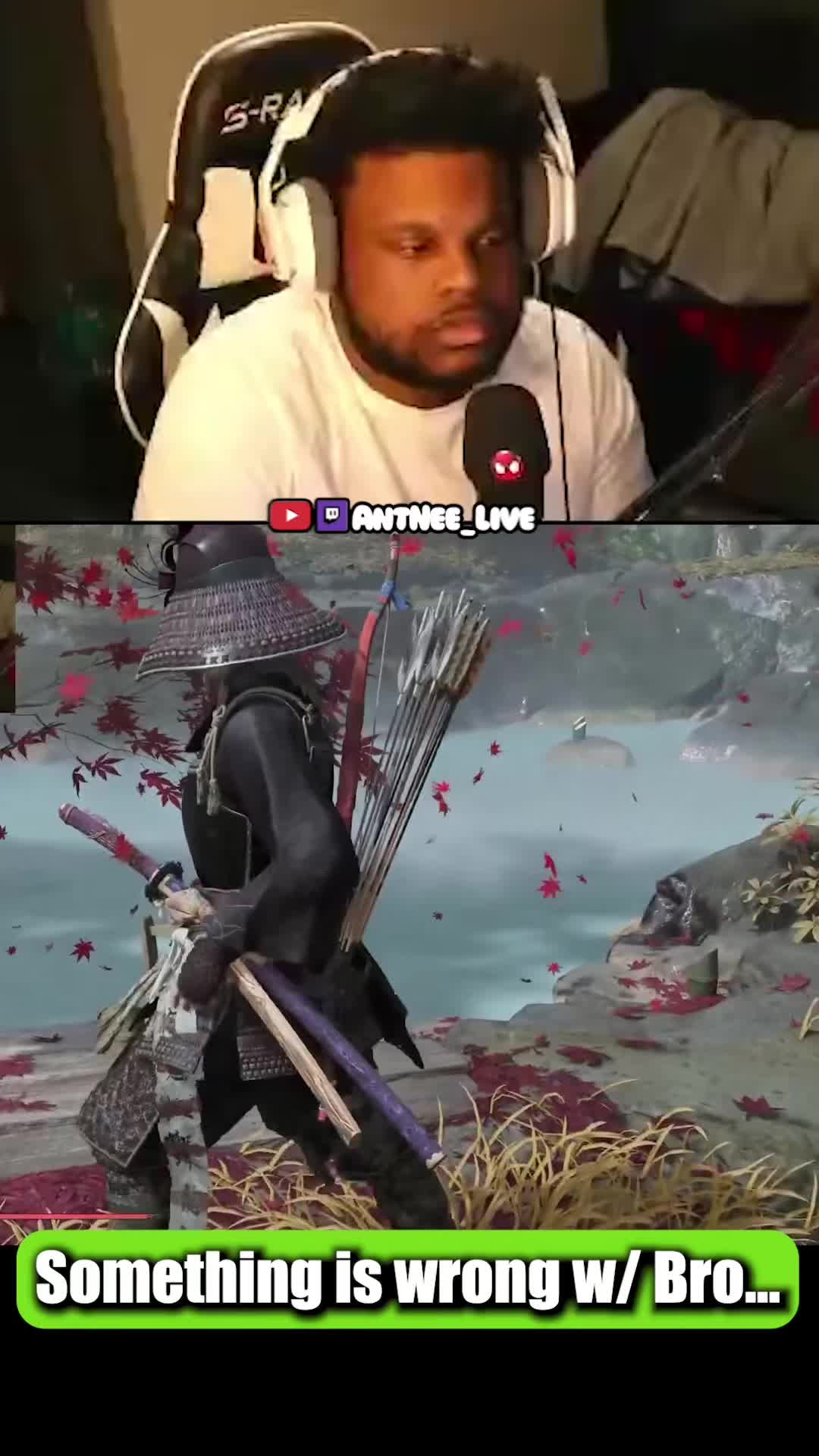 @AntNee Live