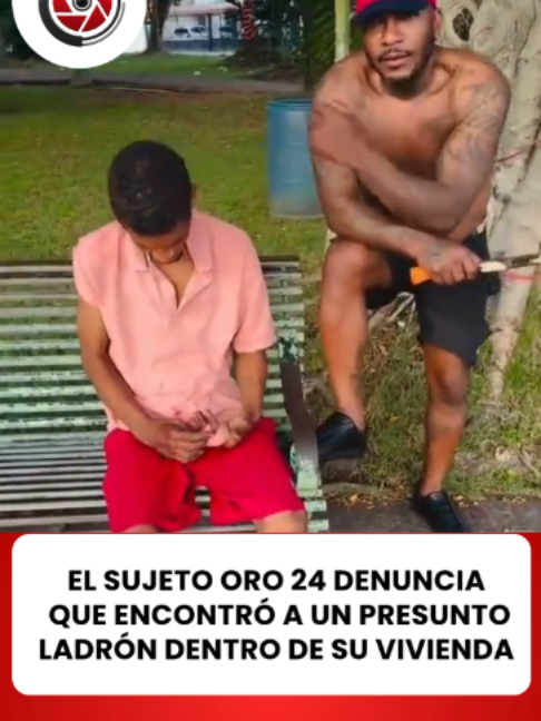 @elveedordigital