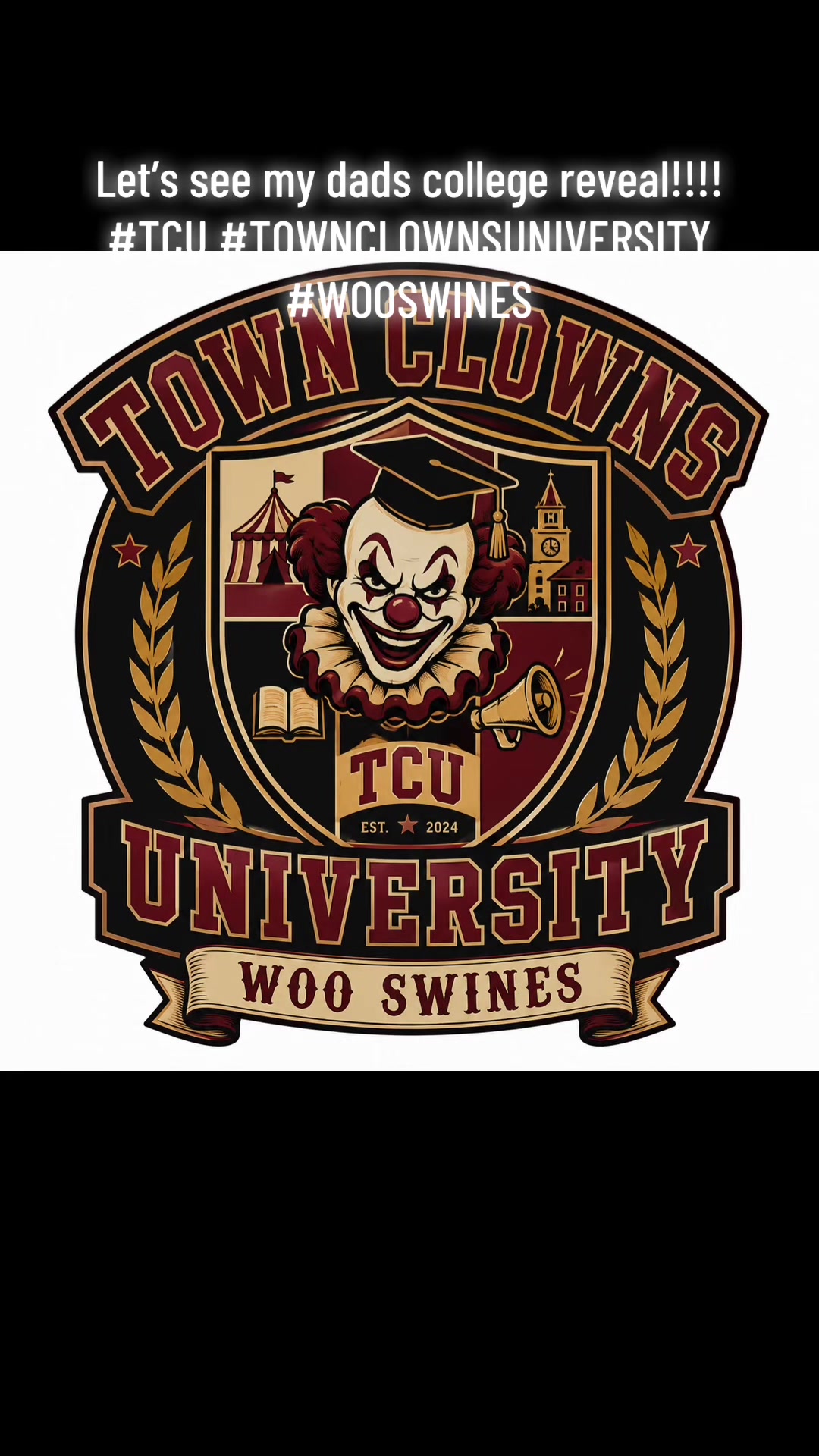 @townclownsdiml_