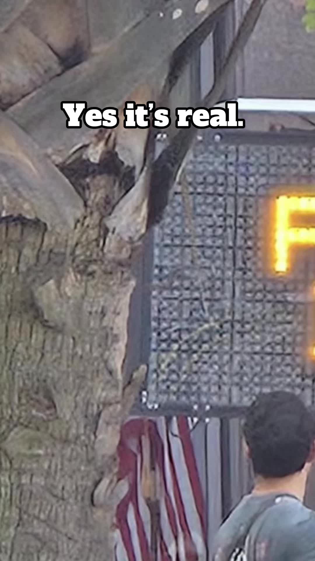 @orlandovisibilitybrigade