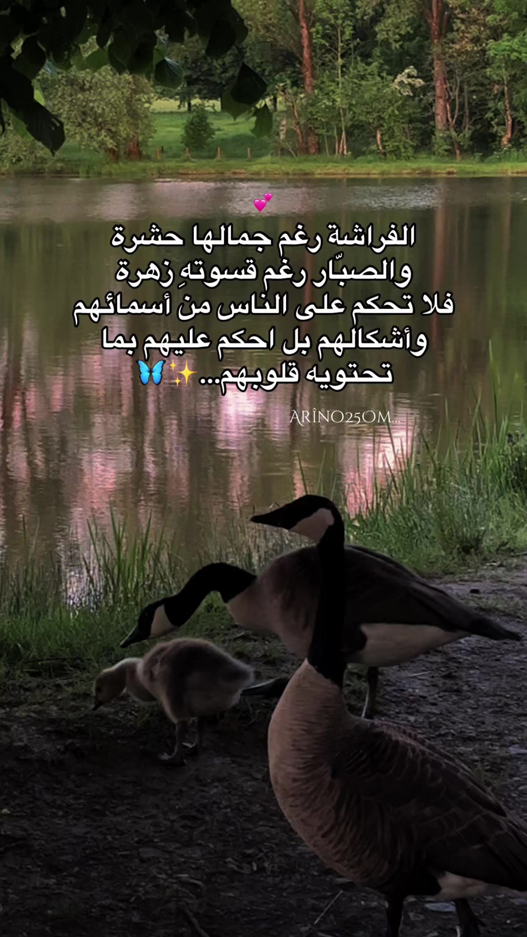 @Arîno25Om