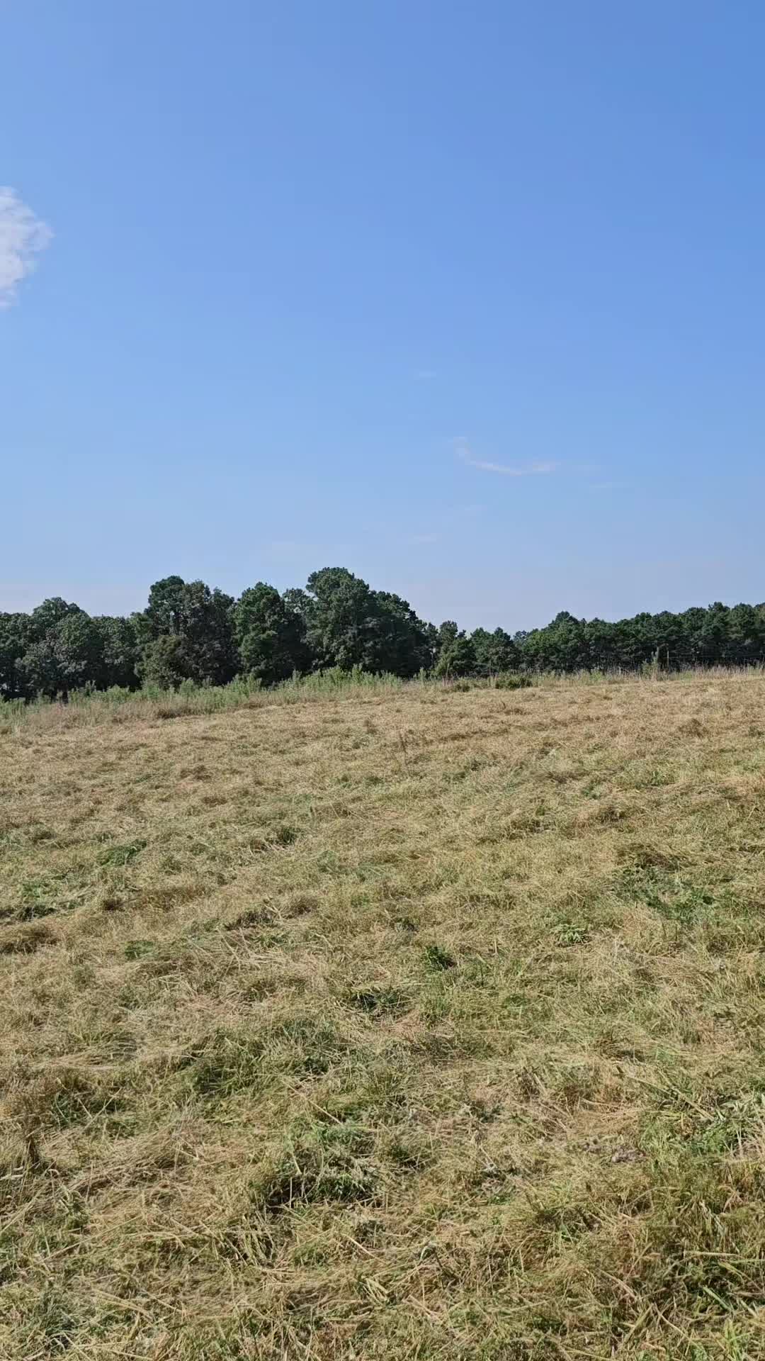@77Ranch