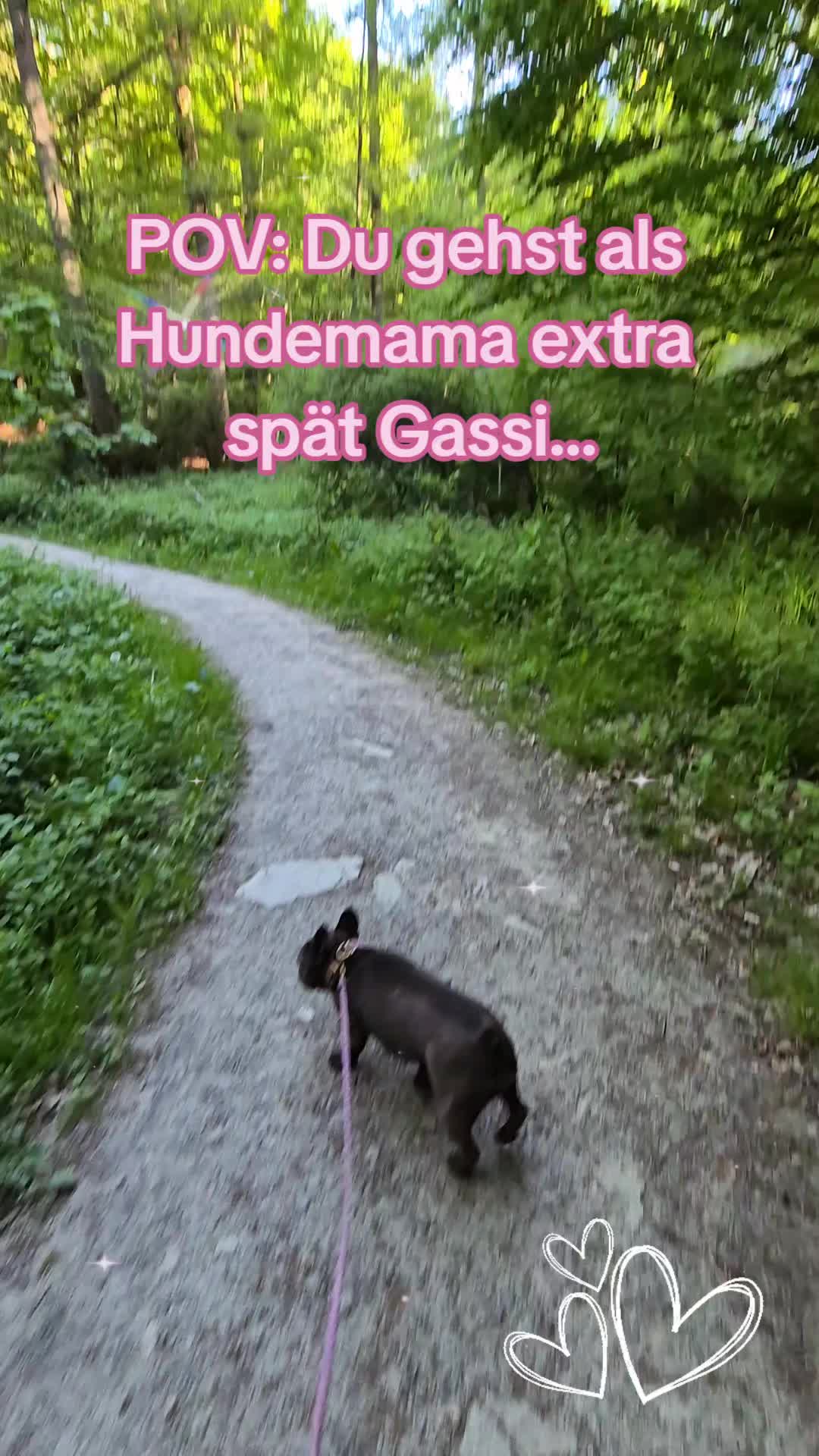 @FrenchieFrieda