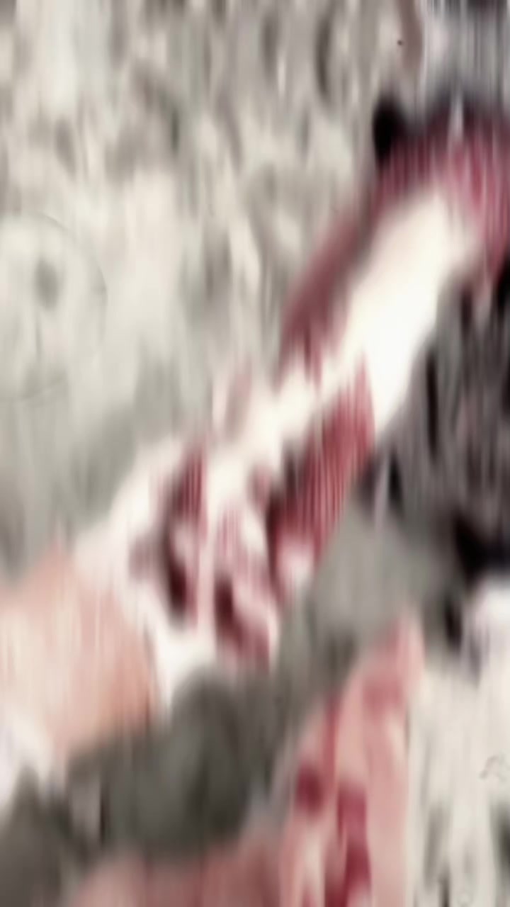 @_ʀᴏʏᴀ_🦅