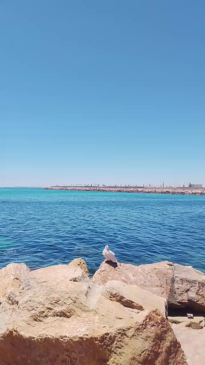 @abdo - Fátima