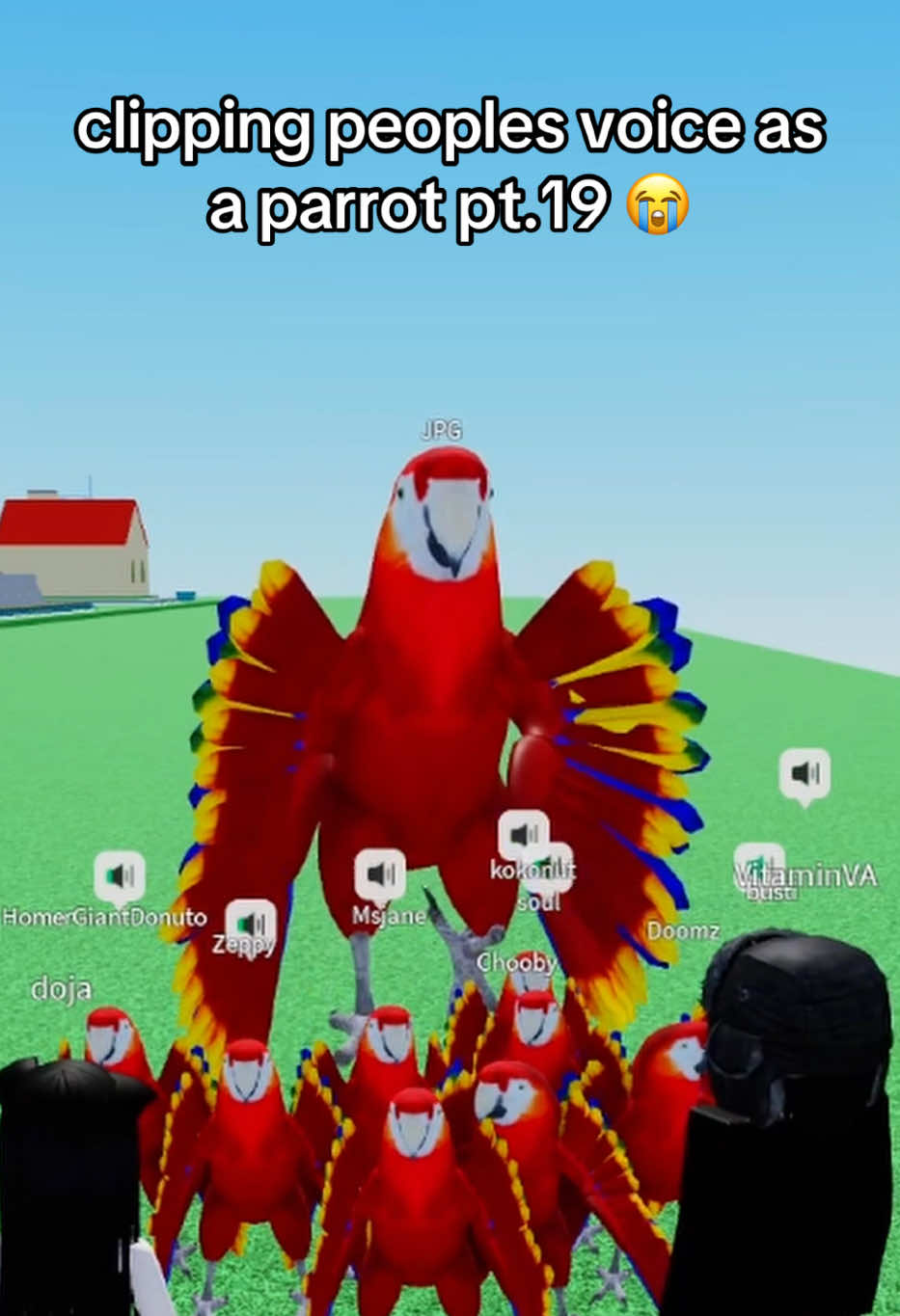 @nobrainjames