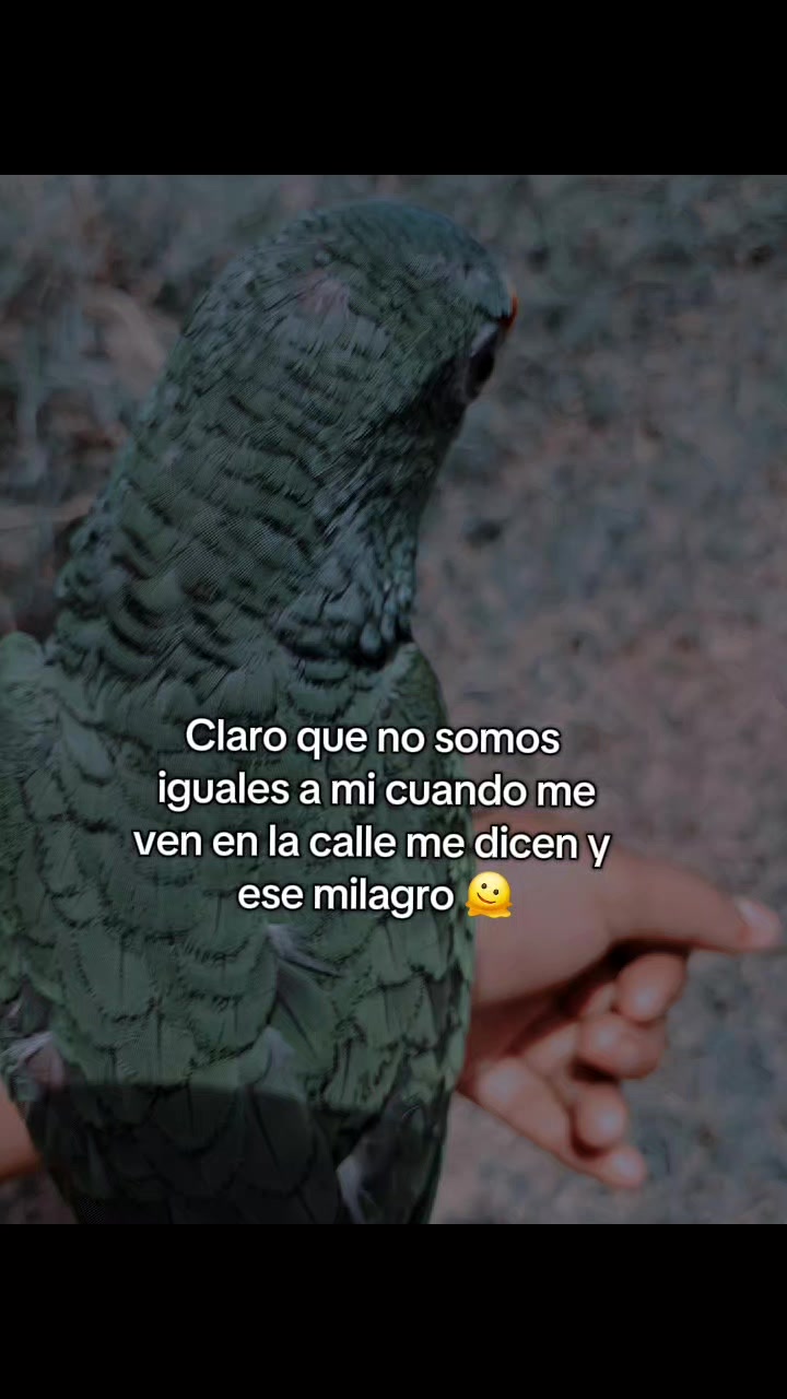 @compartirvideos11
