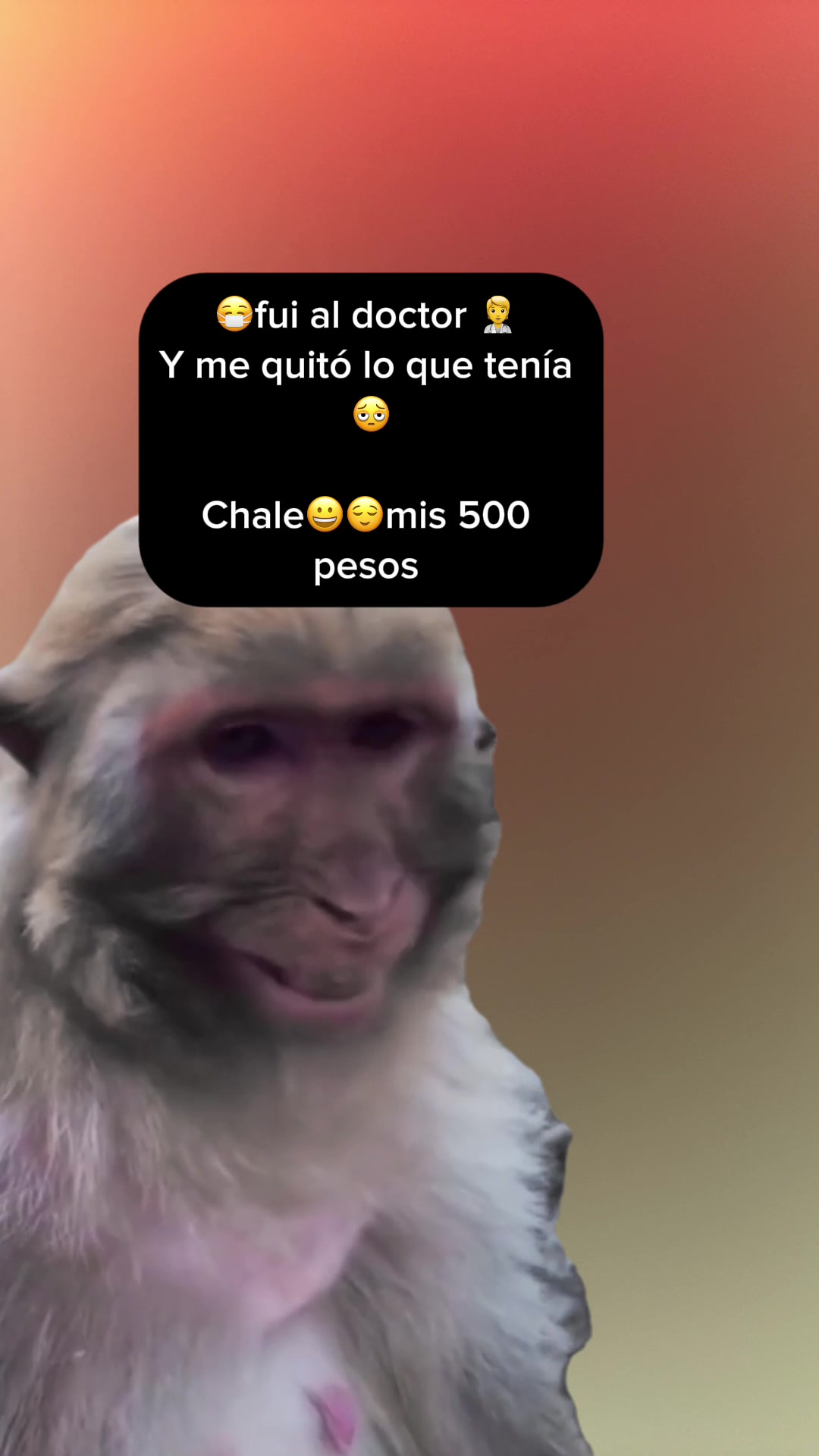 @Reynoso