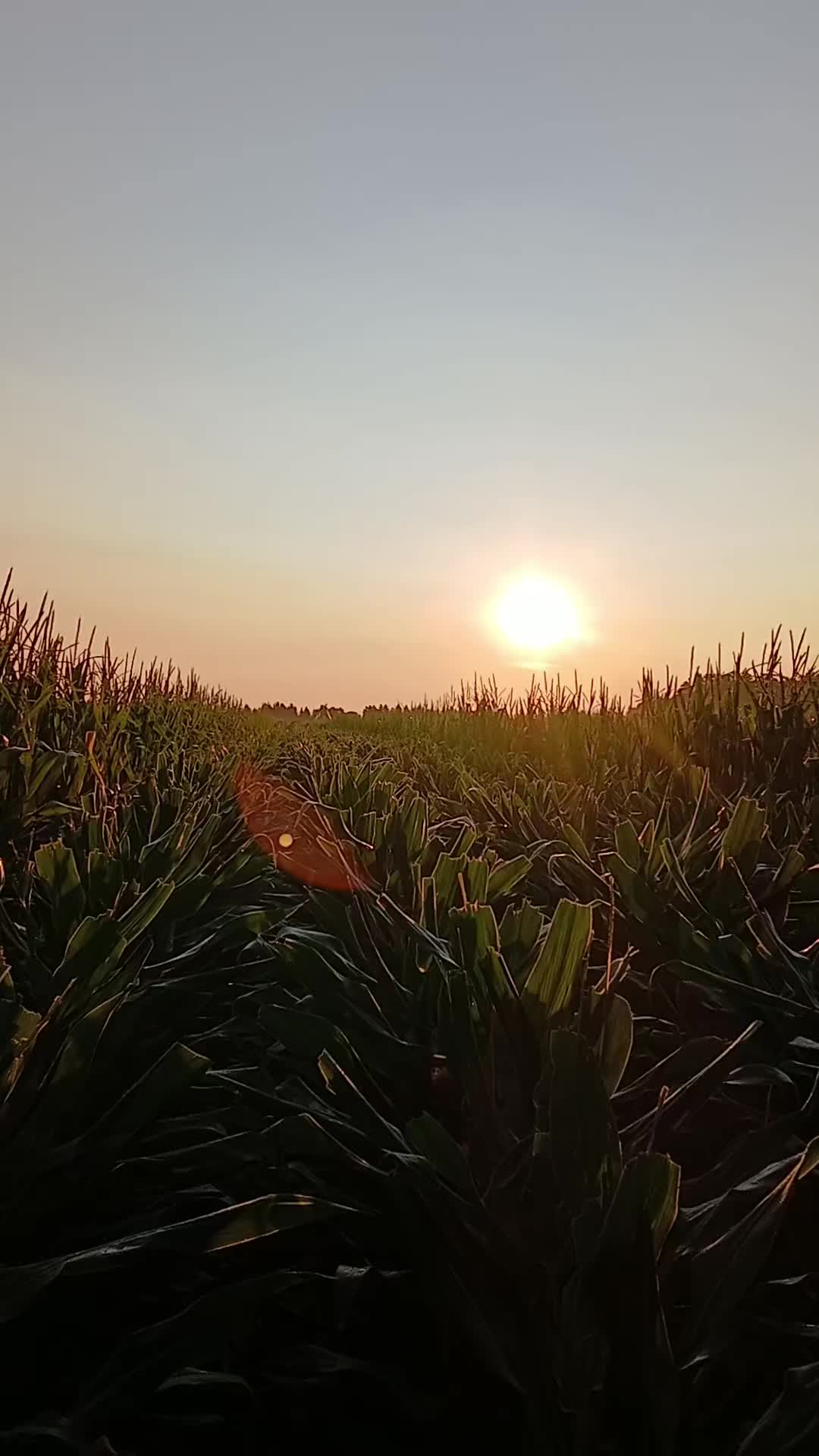 @𝚎𝙻 𝙿𝙴𝚁𝚁𝙾𝚂𝙺𝚈 646