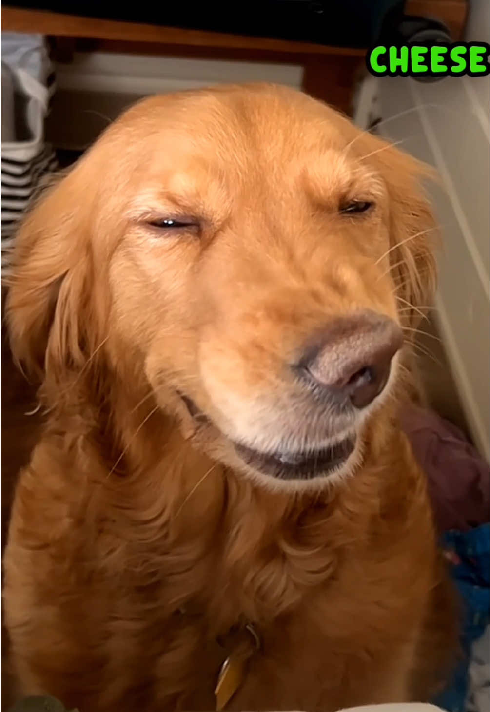@Rufus Goodboy