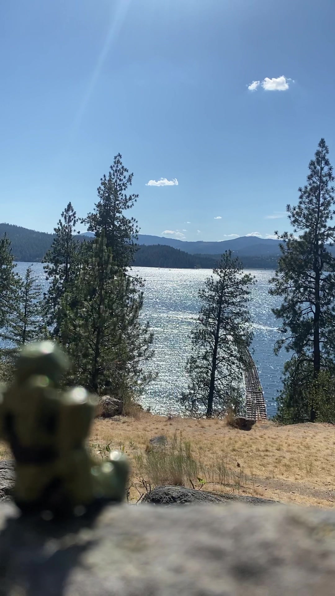 @Master.Chief