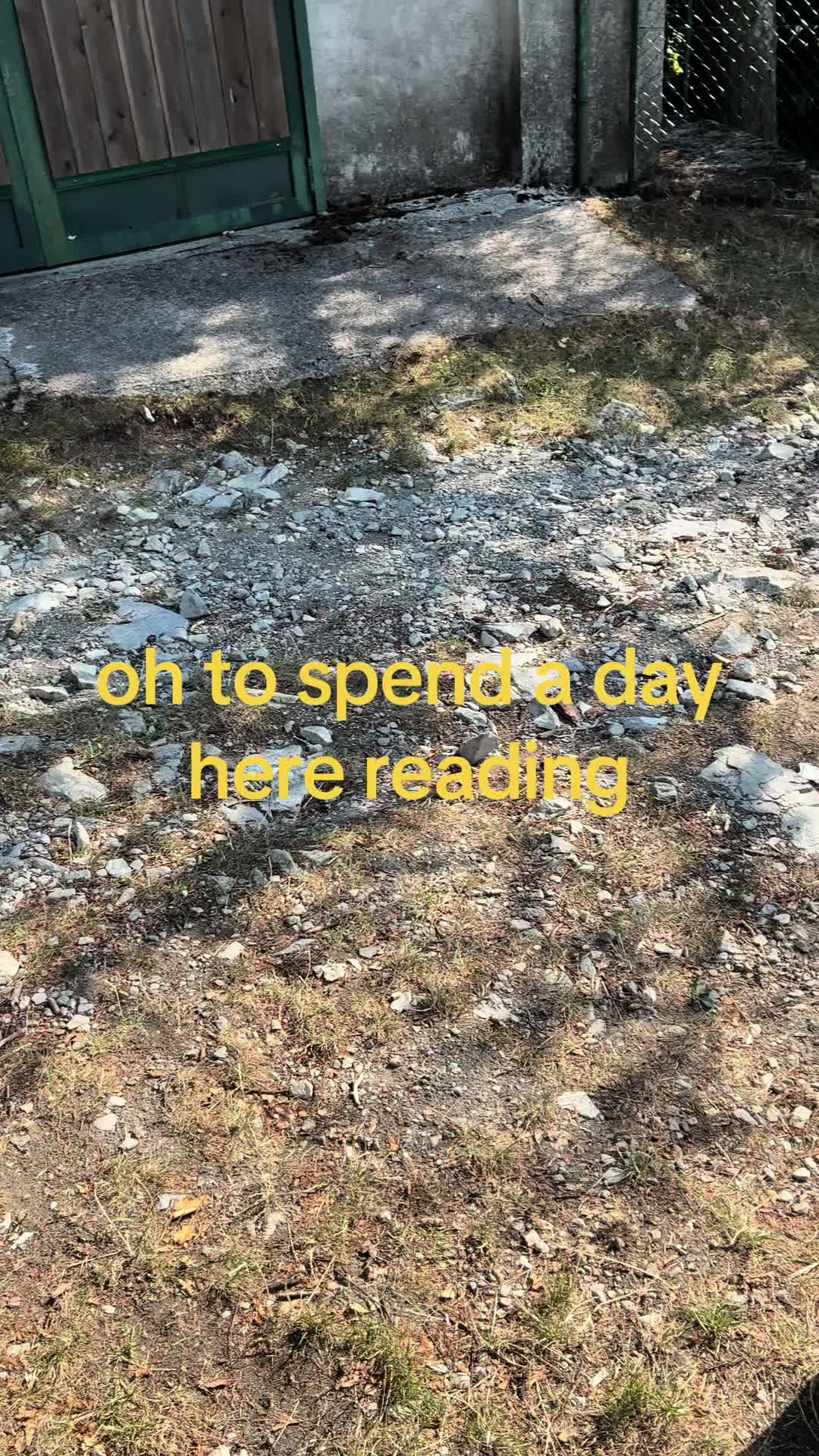 @raccoon.readz