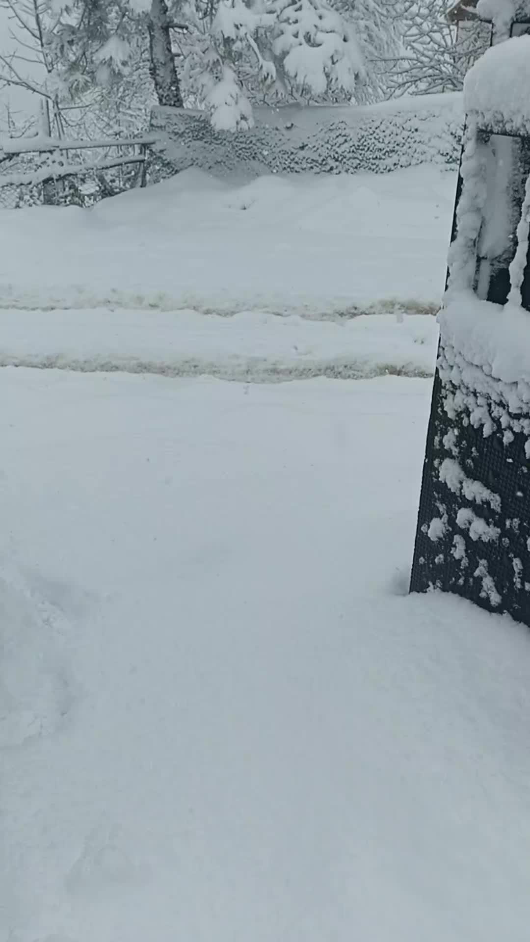 @bekir &Ccedil;ayır