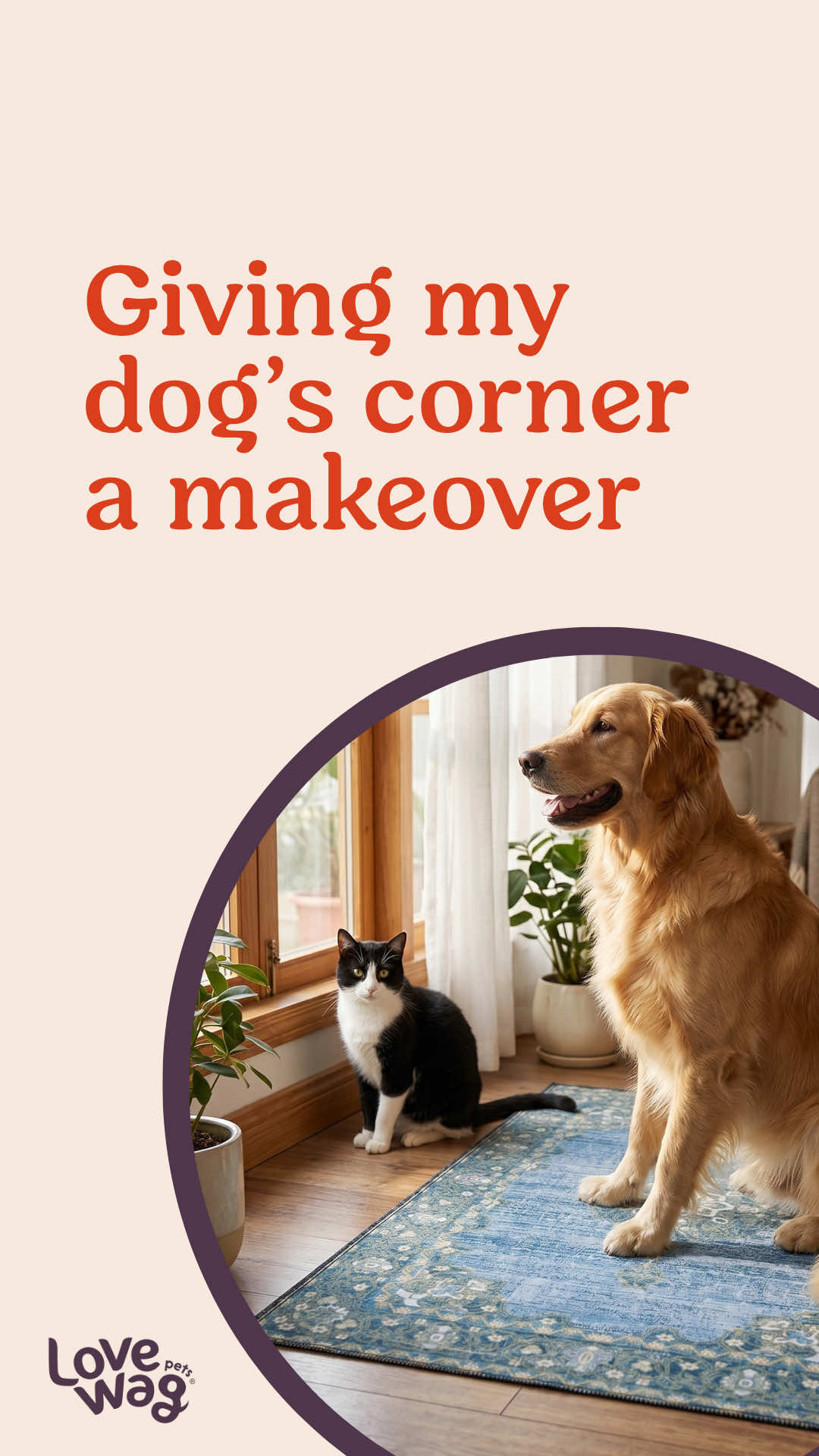@Lovewag Pets