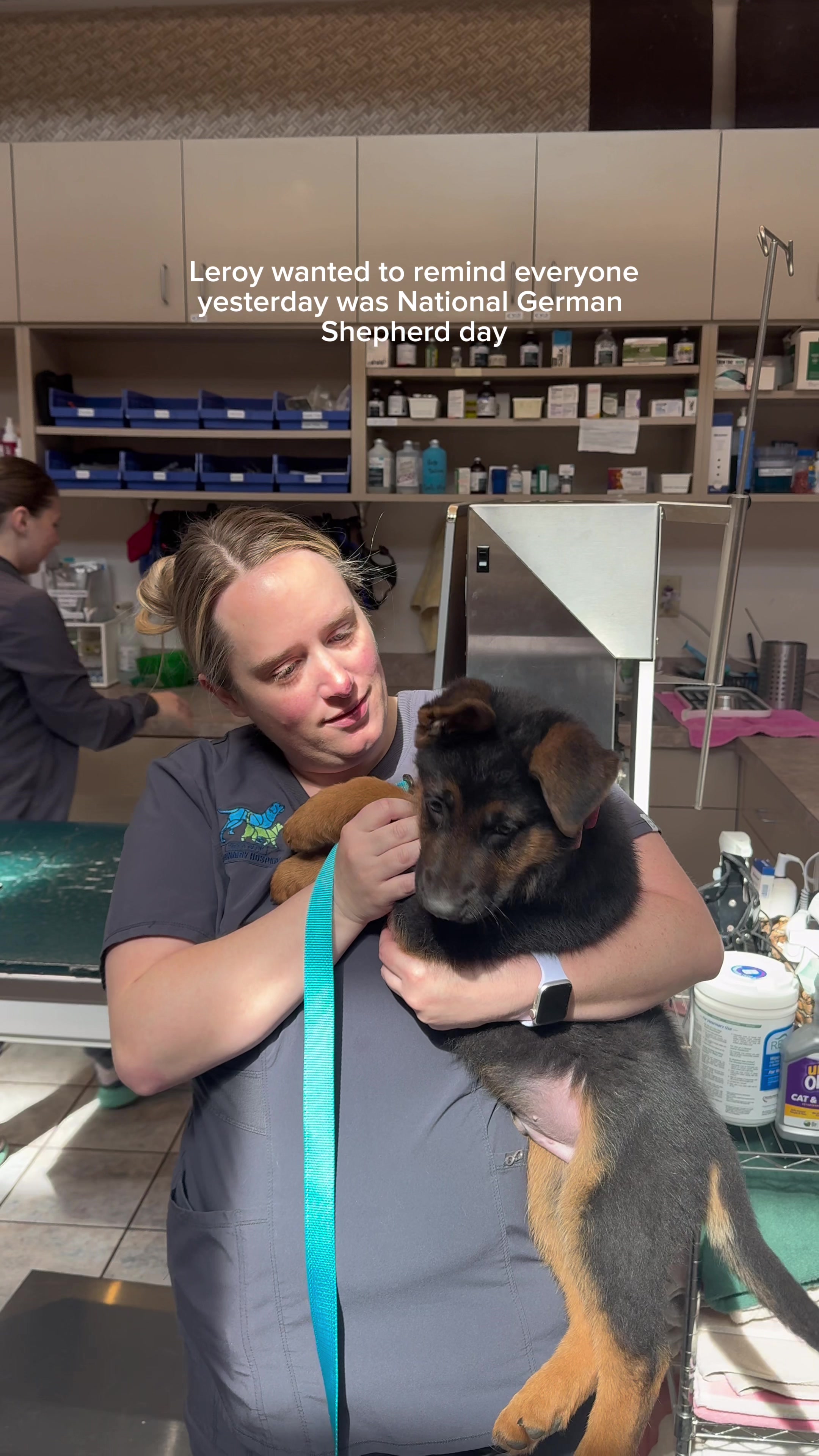 @Deer Park Veterinary Hospital