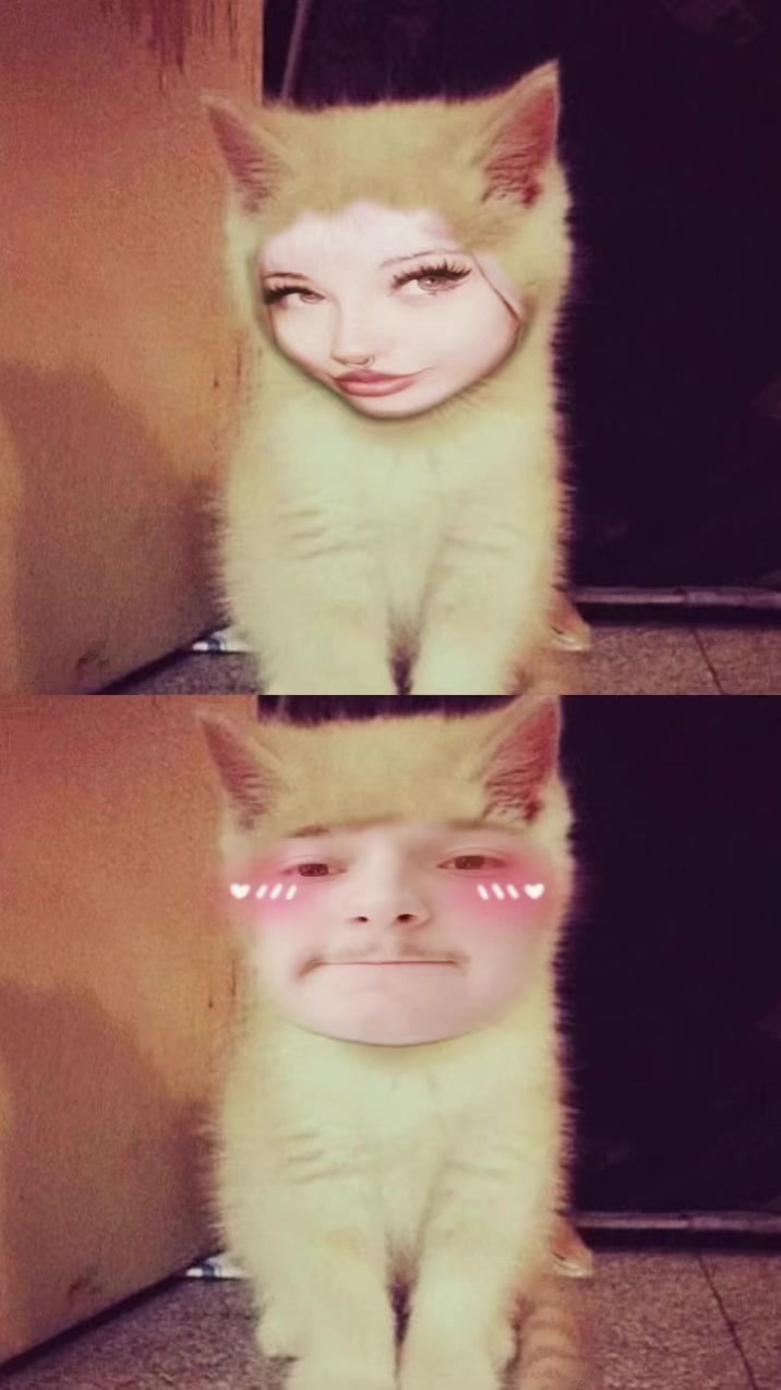 @🐾iluvcole⋆ 𐙚 ̊.