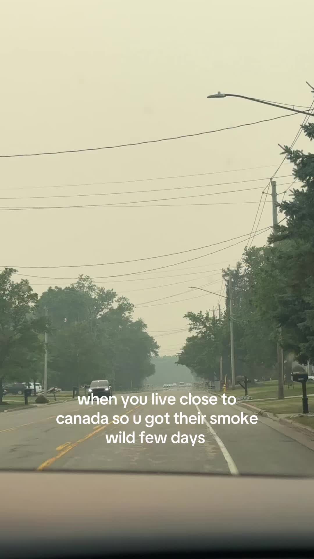 @meganscreationss✨