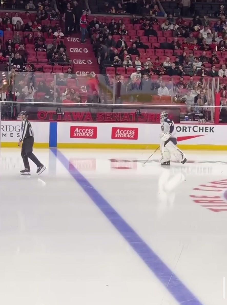 @vgkgoaliegirl🏒