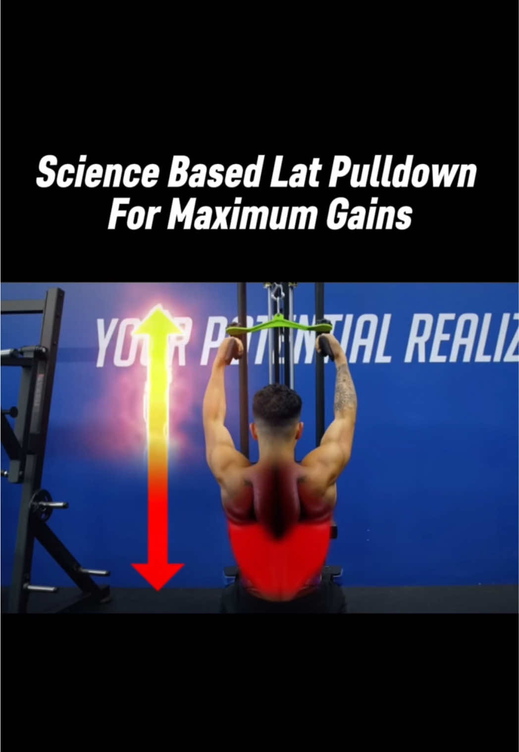 @theschoolofgains