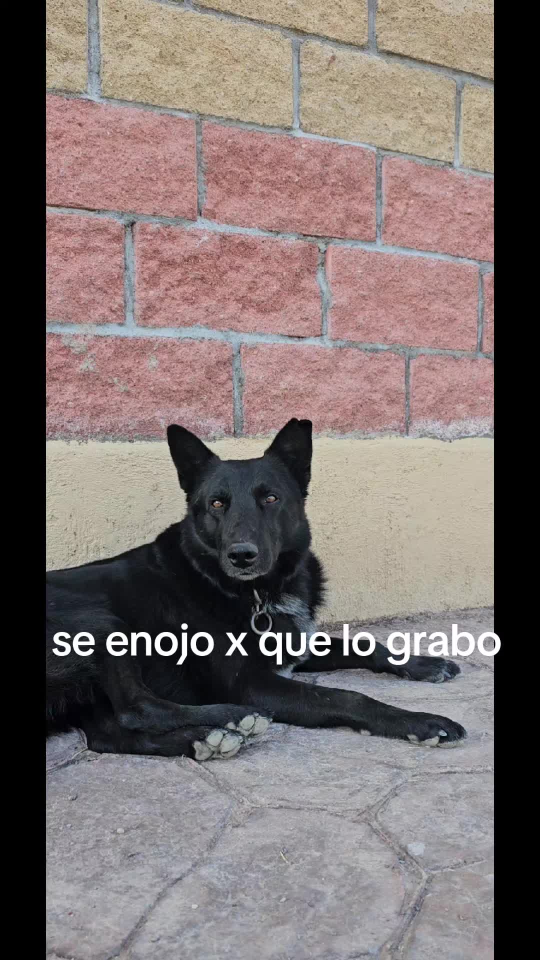 @memohuerta