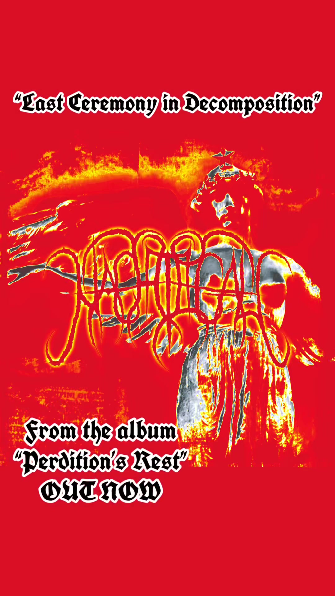 @nachtigal.band