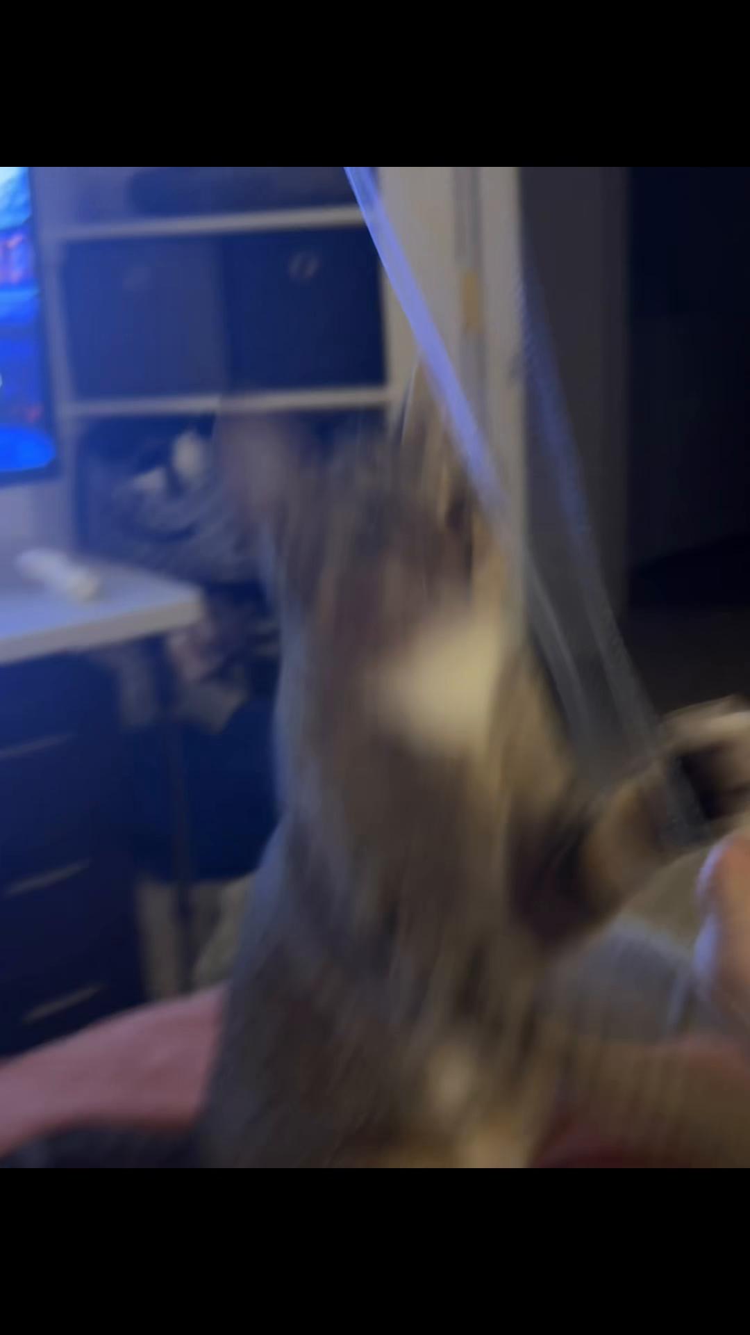 @Mika
