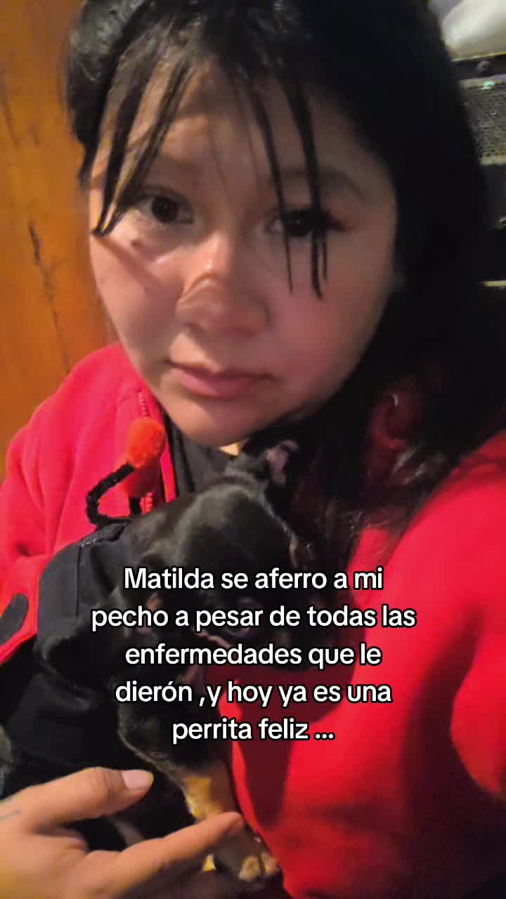 @huellitas de amor 🐾❤️🩹🐶