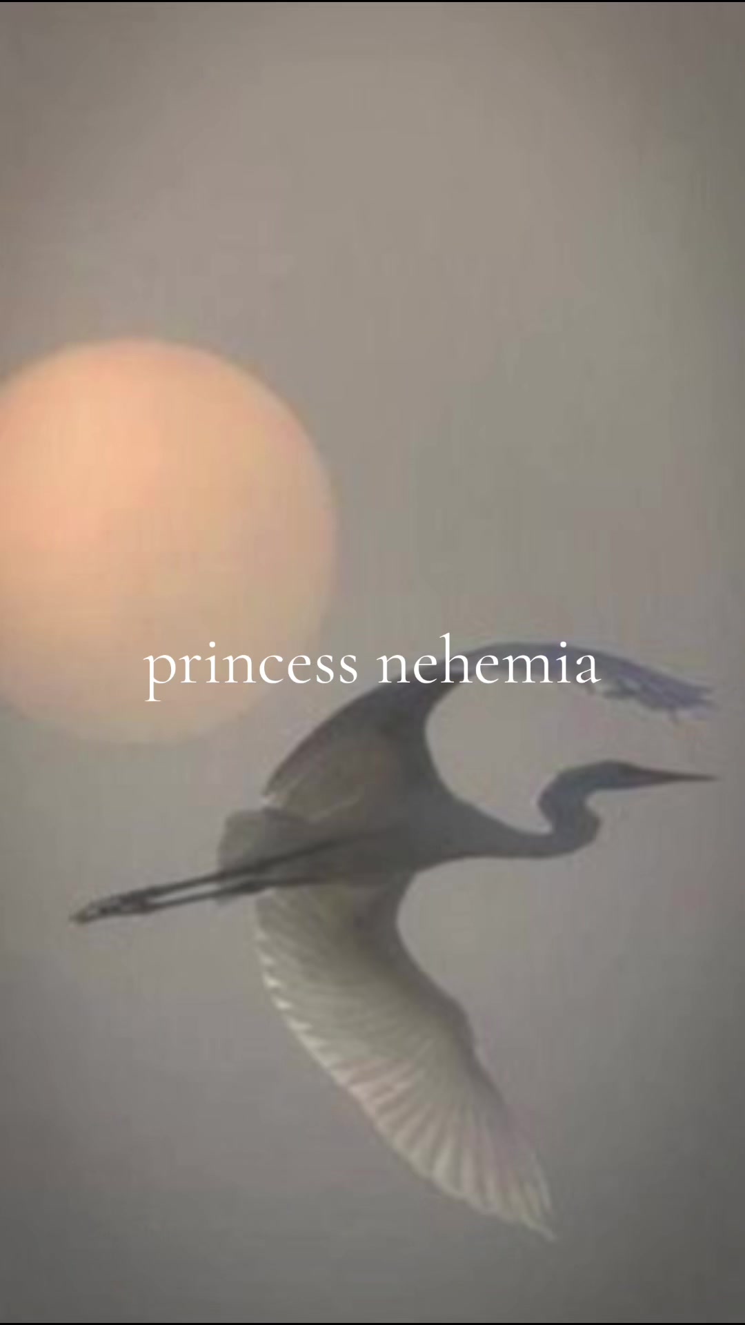 @A ✨