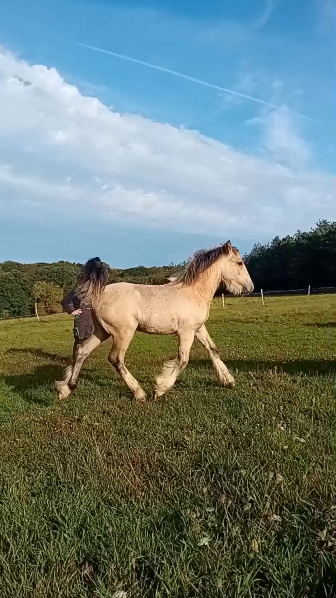 @Elo_TeamDuPetitPont