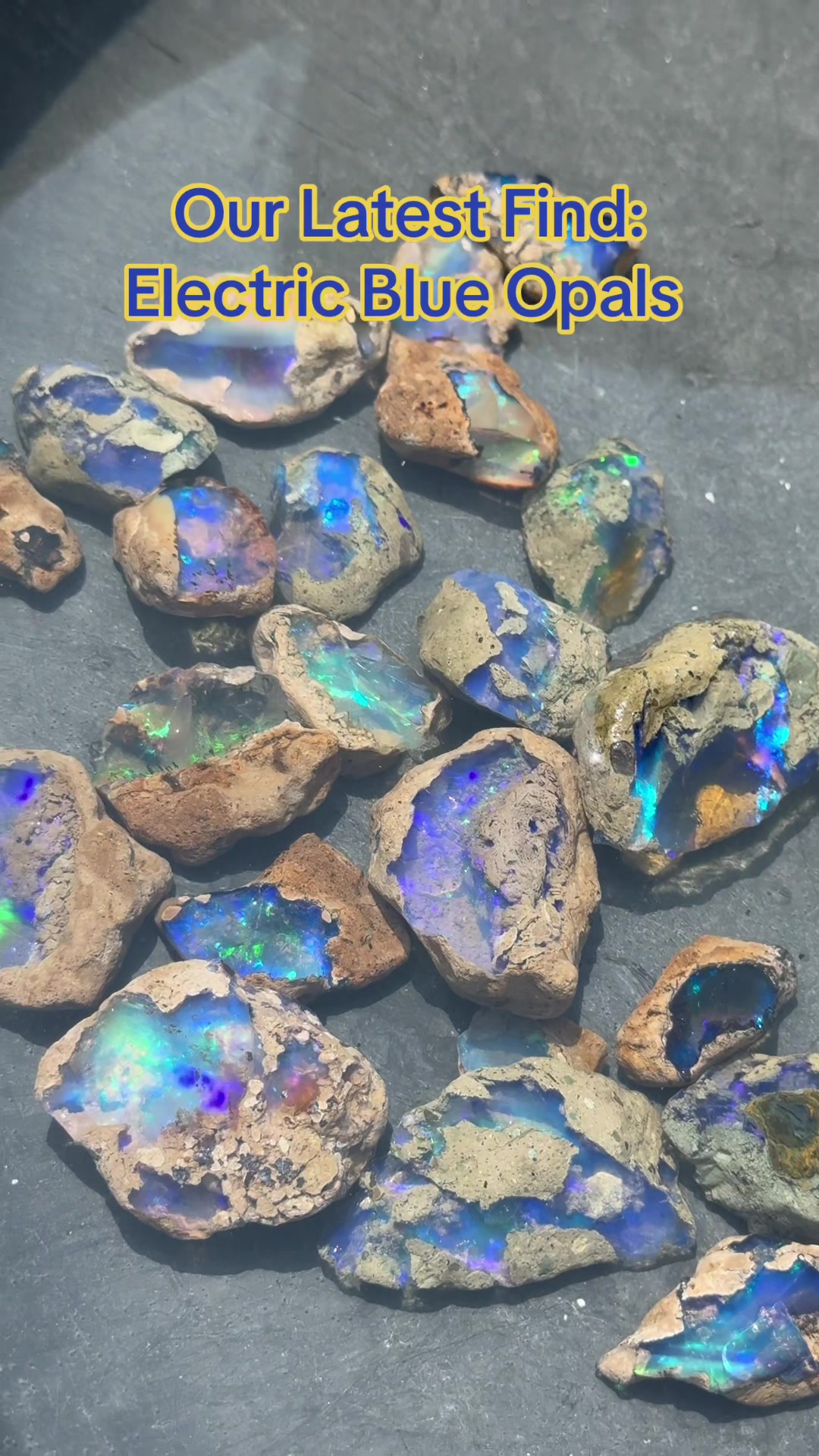 @theopaltrove