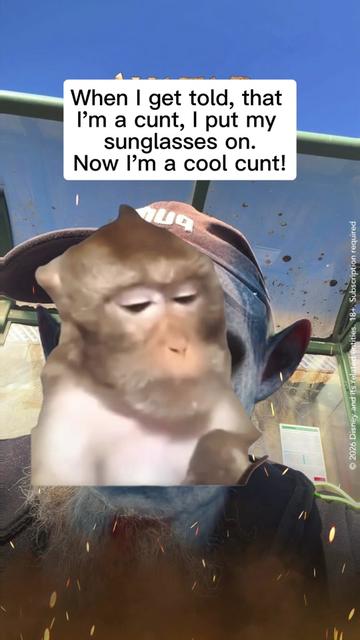 @dinonuggeys4