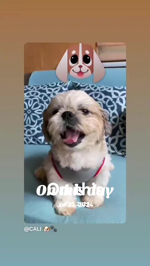 @Michelle❣️